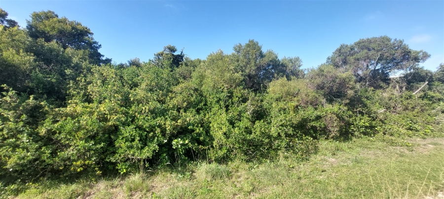 0 Bedroom Property for Sale in Paradise Beach Eastern Cape